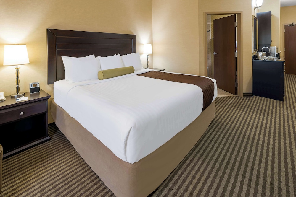 Standard, King Bed, Pet Friendly