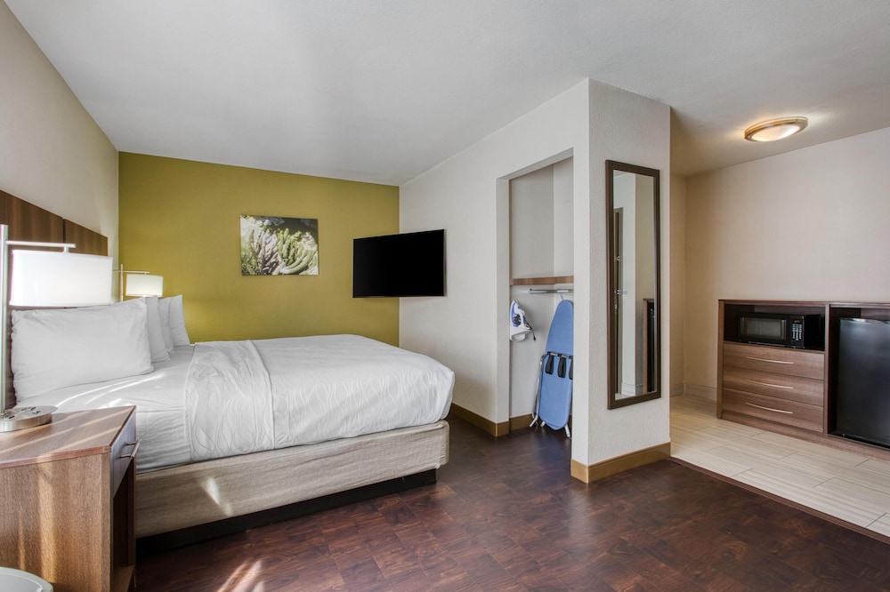 STANDARD, KING BED, PET FRIENDLY, ACCESSIBLE