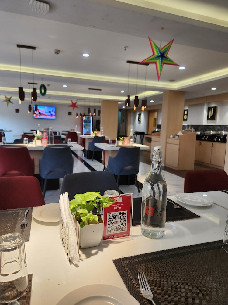 Mastiff Hotel, Ankleshwar 46/60