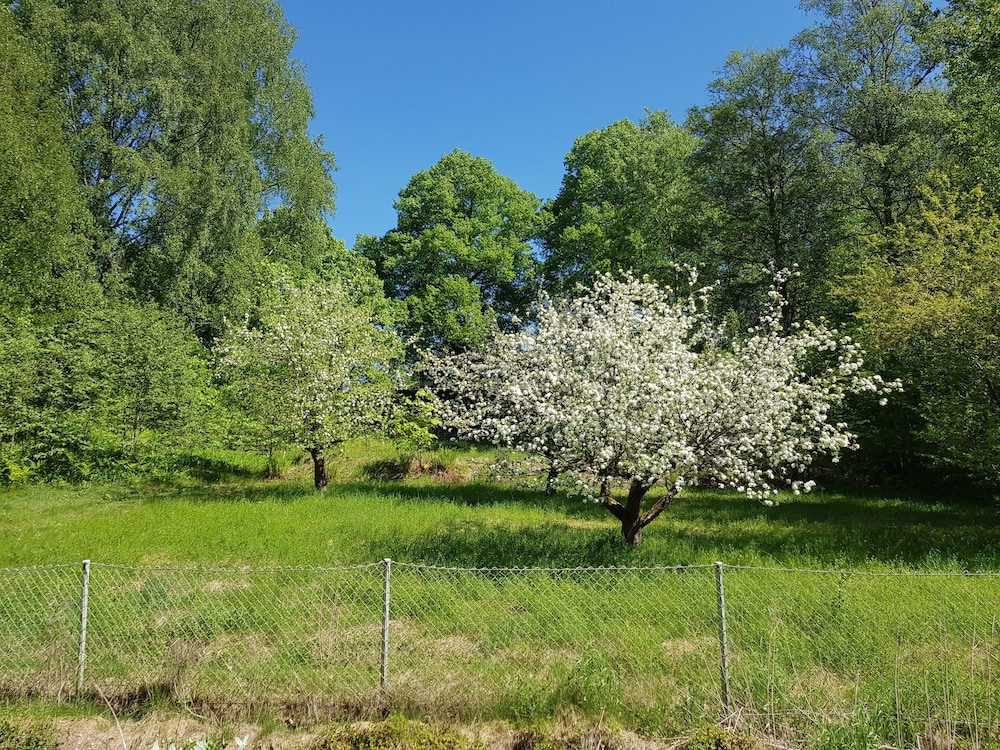 Brukshotellet Skinnsberg 47/50