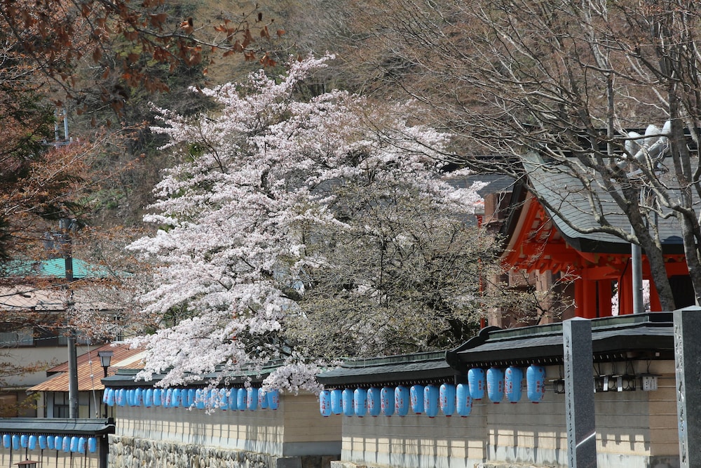 Atarashiya Ryokan - Dorogawa-Onsen Hot Spring 20/24