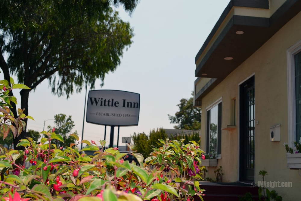 Wittle Inn 3/22