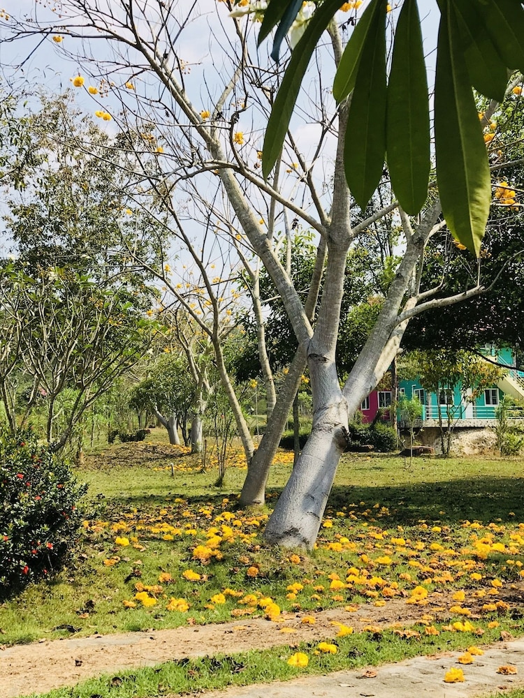 Suan Phueng Pa Wai Resort 45/50