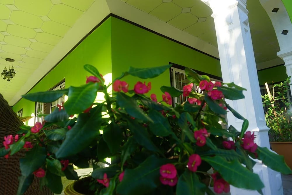 Villa Hortensia 4/50