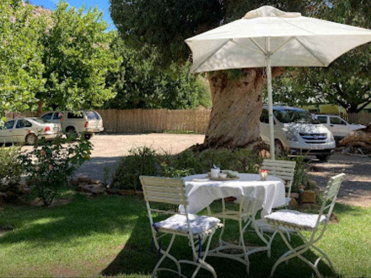 Weltevrede Fig Farm 11/13
