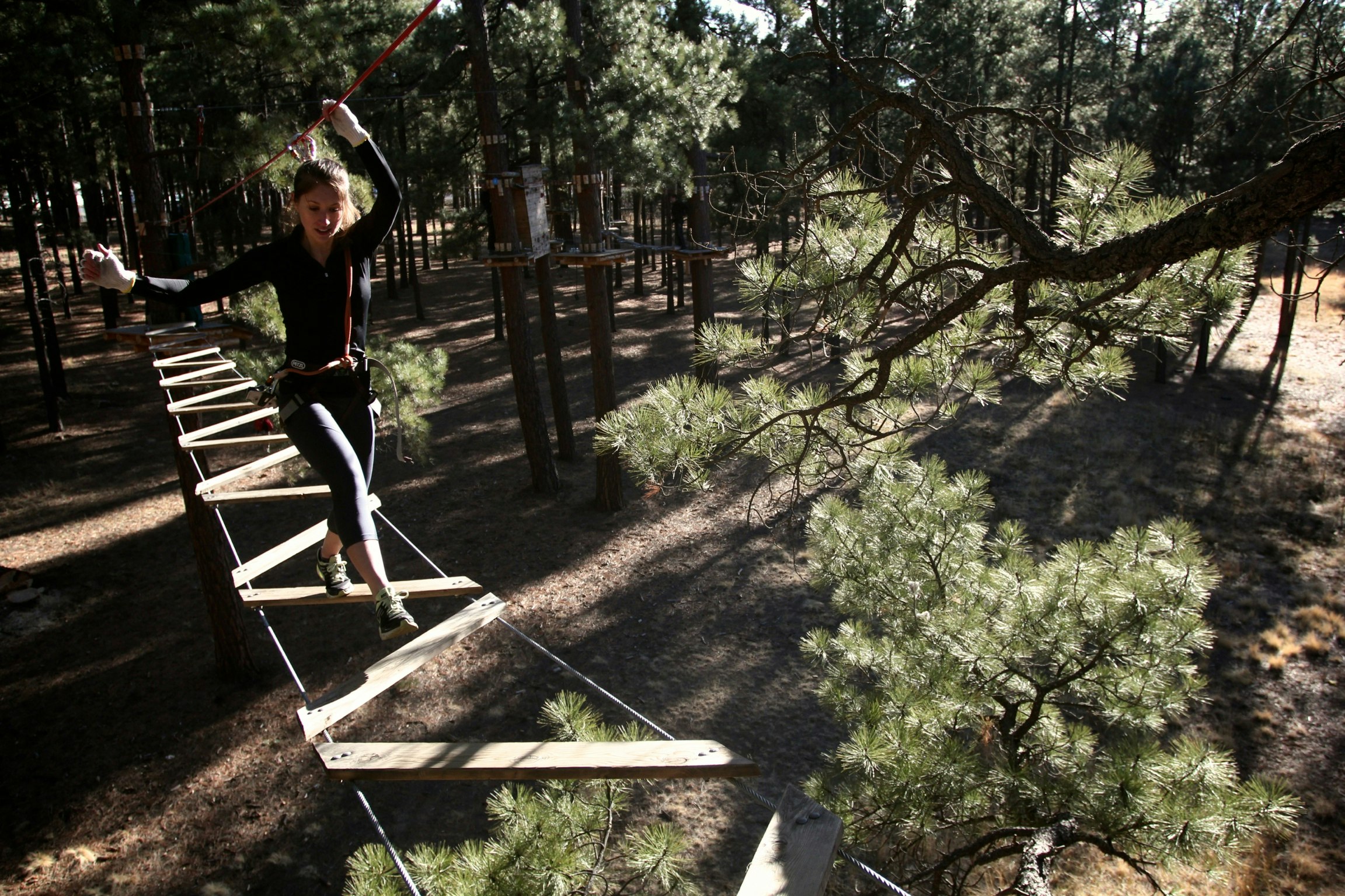 DoubleTree by Hilton Flagstaff 71/72