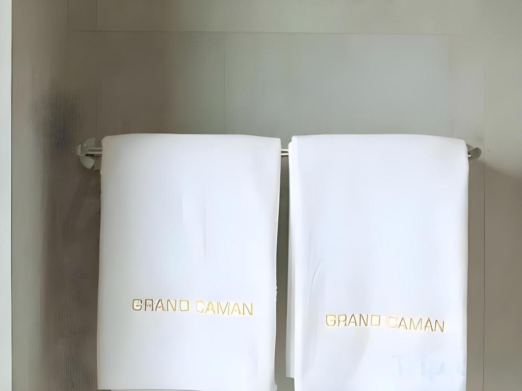 Grand Caman Hotel 13/29