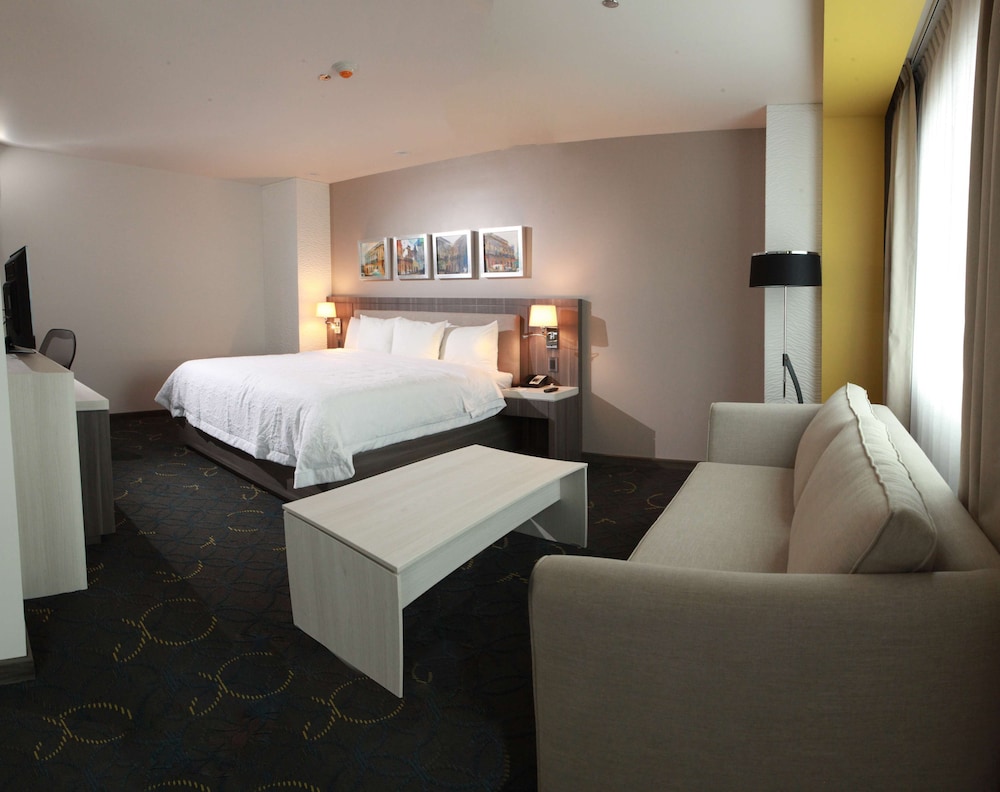 Hampton Inn Suites By Hilton Aguascalientes Airport 30/58