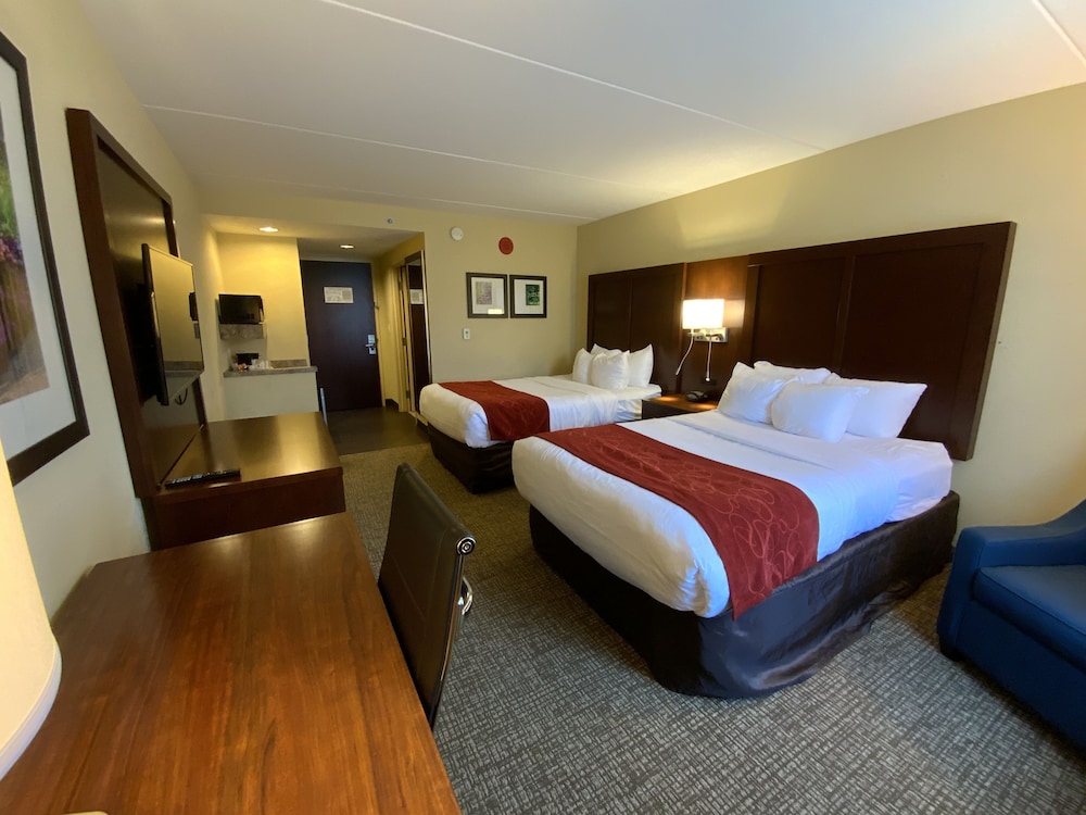 Comfort Suites Fredericksburg North 16/35