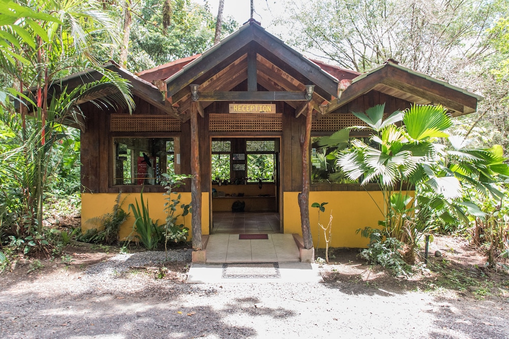 Arenal Oasis 7/50
