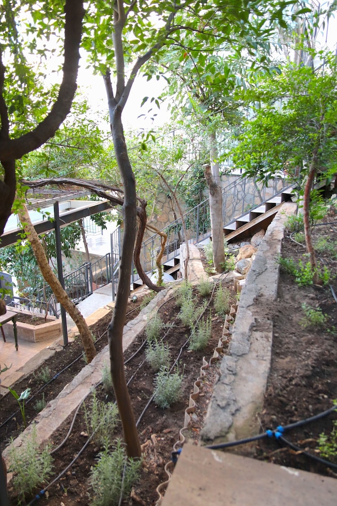 Casa Margot Hotel - Adults Only 30/50