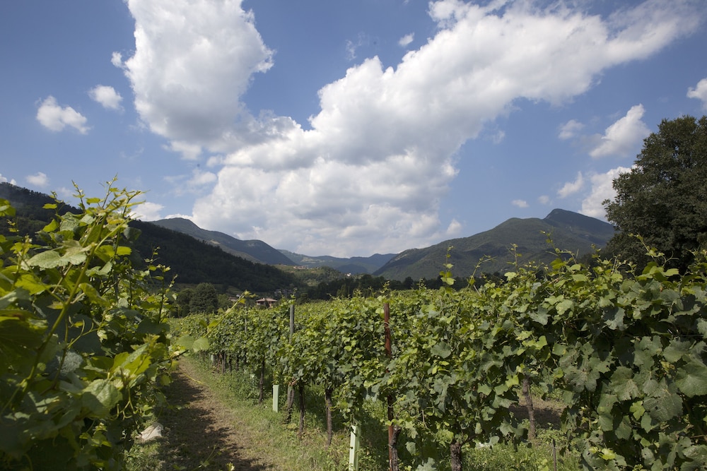 Podere Castel Merlo Resort 17/34