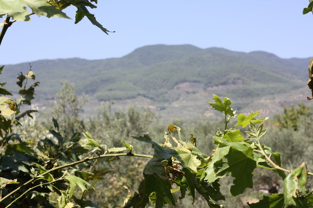 Antik Manastir Butik Otel 19/33