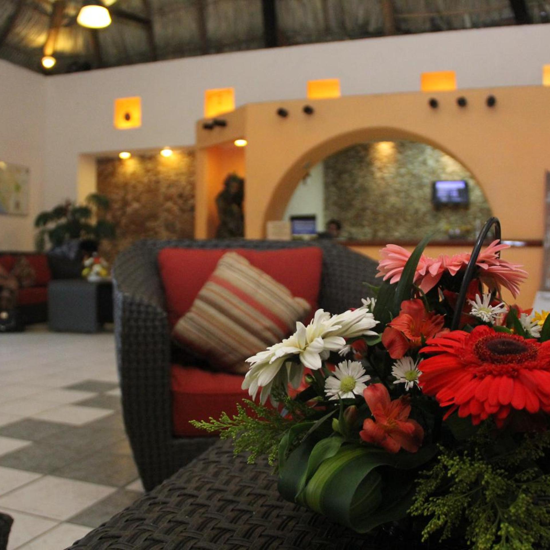 Hotel Palapa Palace 26/50