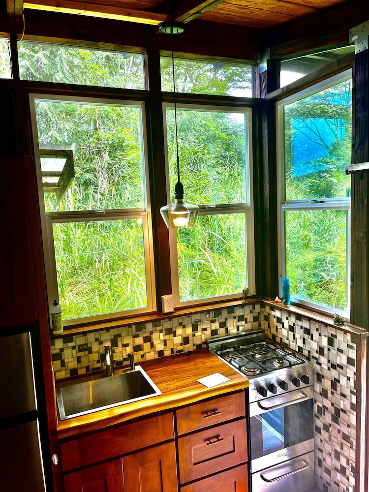 Hawaiian Sanctuary 21/50