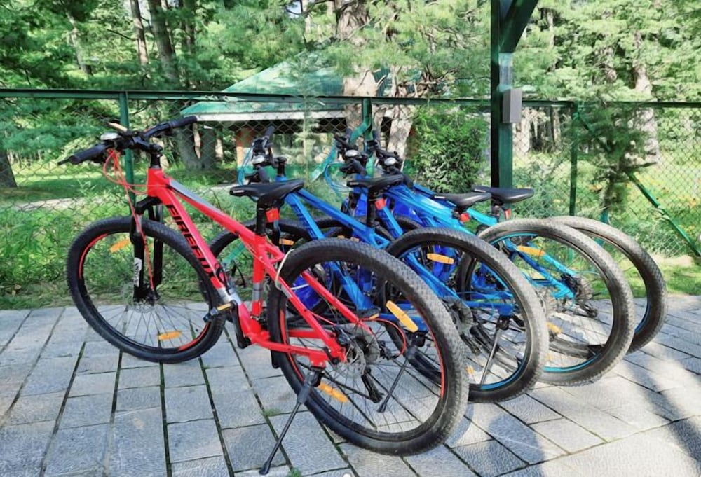 Radisson Golf Resort Pahalgam 53/61