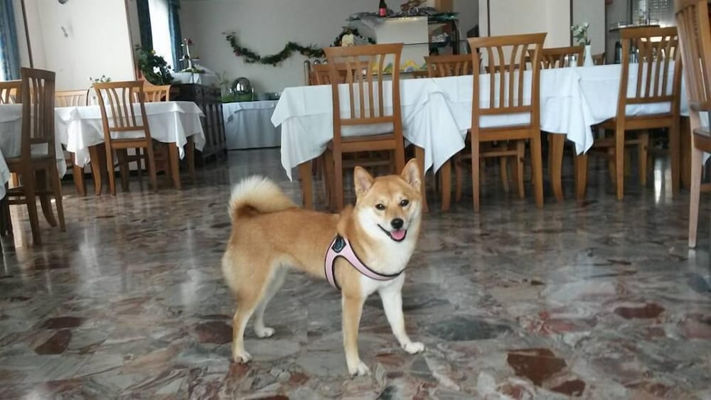 Hotel Nuova Flavia 13/18