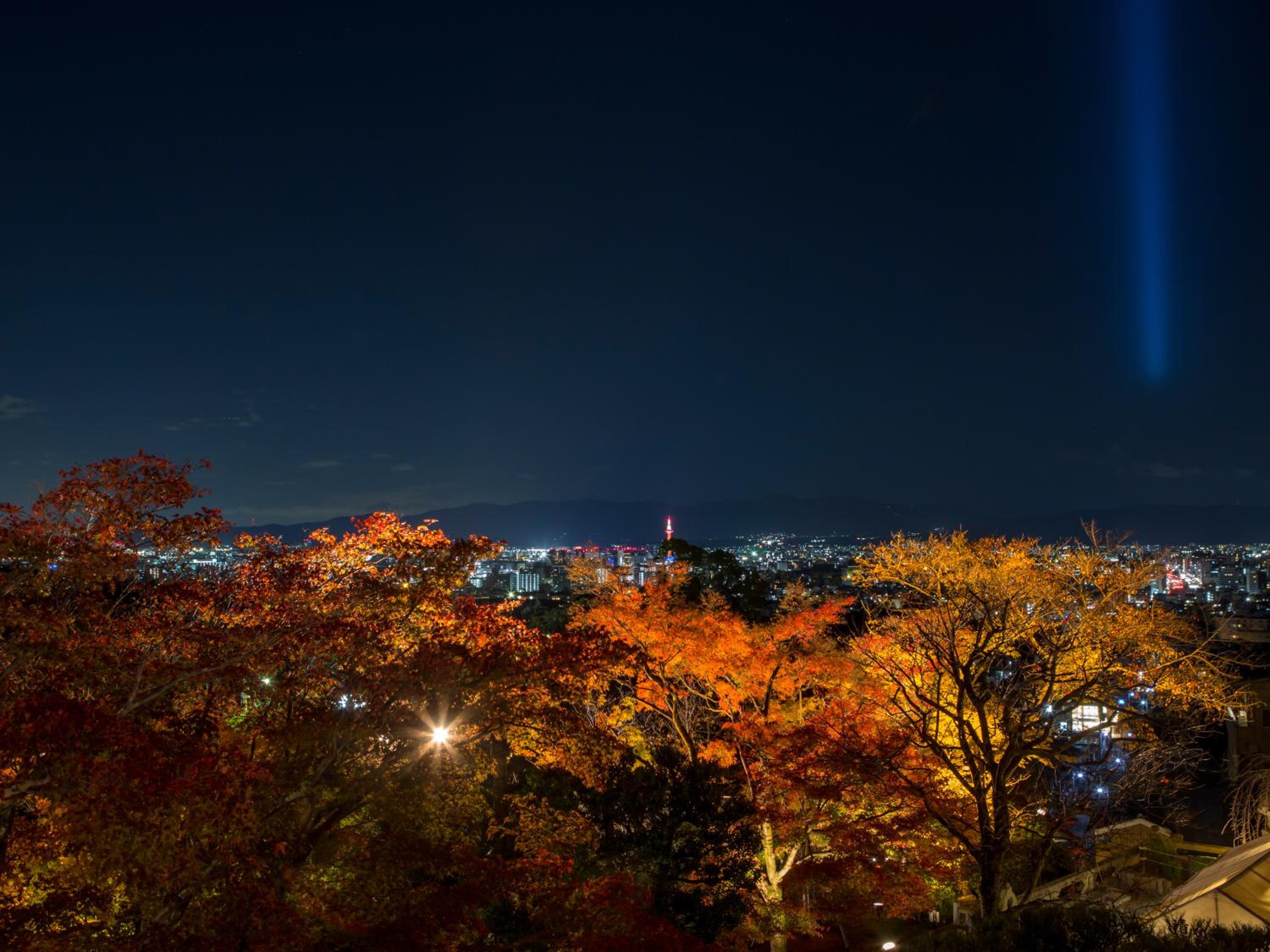 Saka Hotel Kyoto 46/50