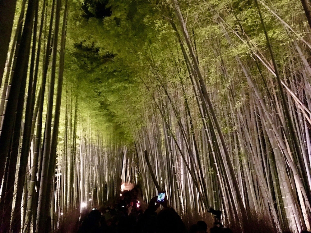Kyoto Arashiyama Onsen Kadensho 20/29