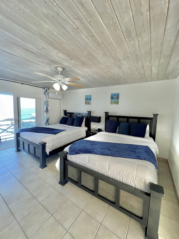 Exuma Palms 10/50