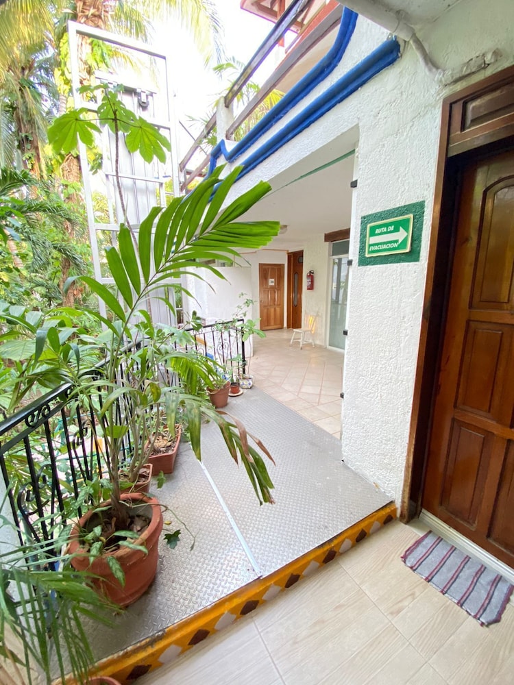Eco Hotel El Rey del Caribe 6/50