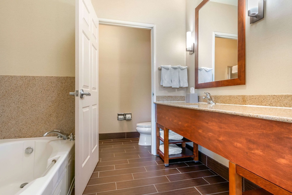 جناح، Comfort Inn & Suites Galt Lodi North 6/6