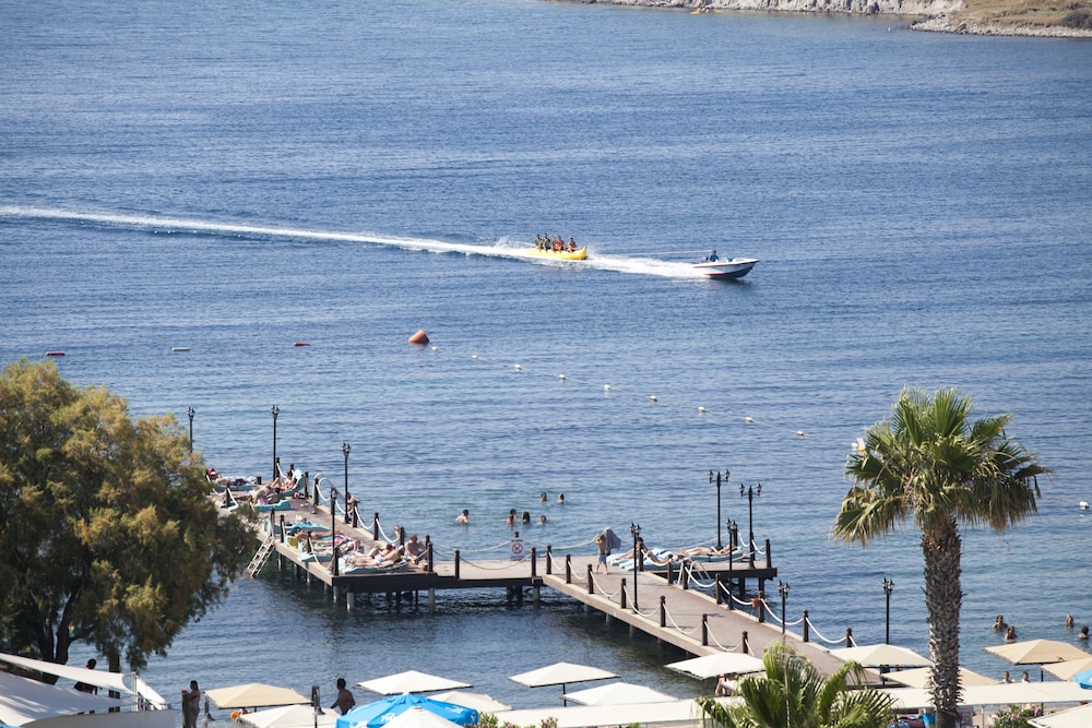 Golden Age Bodrum 36/50