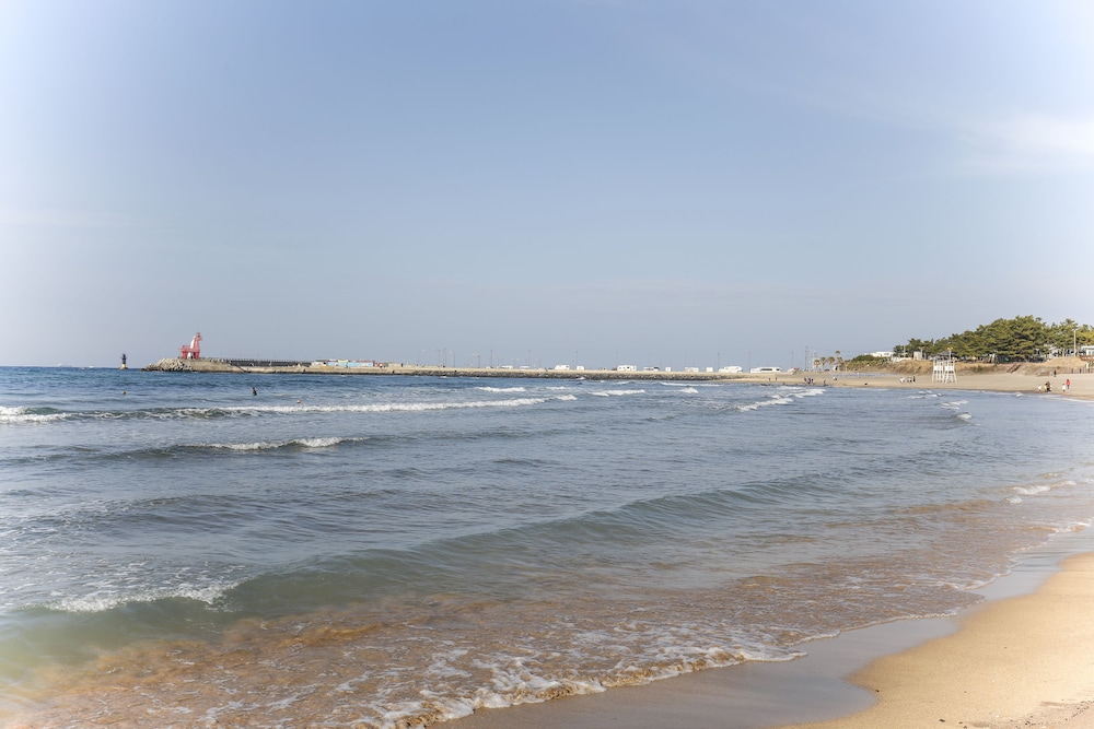 Jeju Ocean Family Hotel 61/75