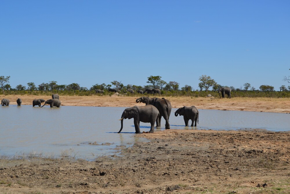 Chobe Sunset Chalets 36/49