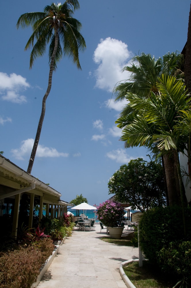Mango Bay Barbados 5/61