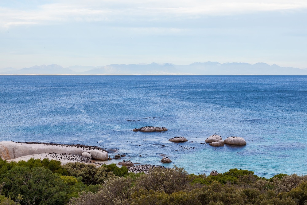 Tintswalo at Boulders 26/38