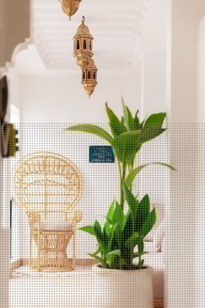 RIAD AL RIMAL 5/50