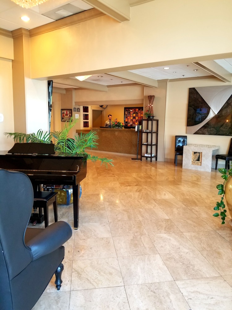 The Palm Garden Hotel 16/72