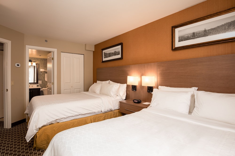 Suite, Multiple Beds