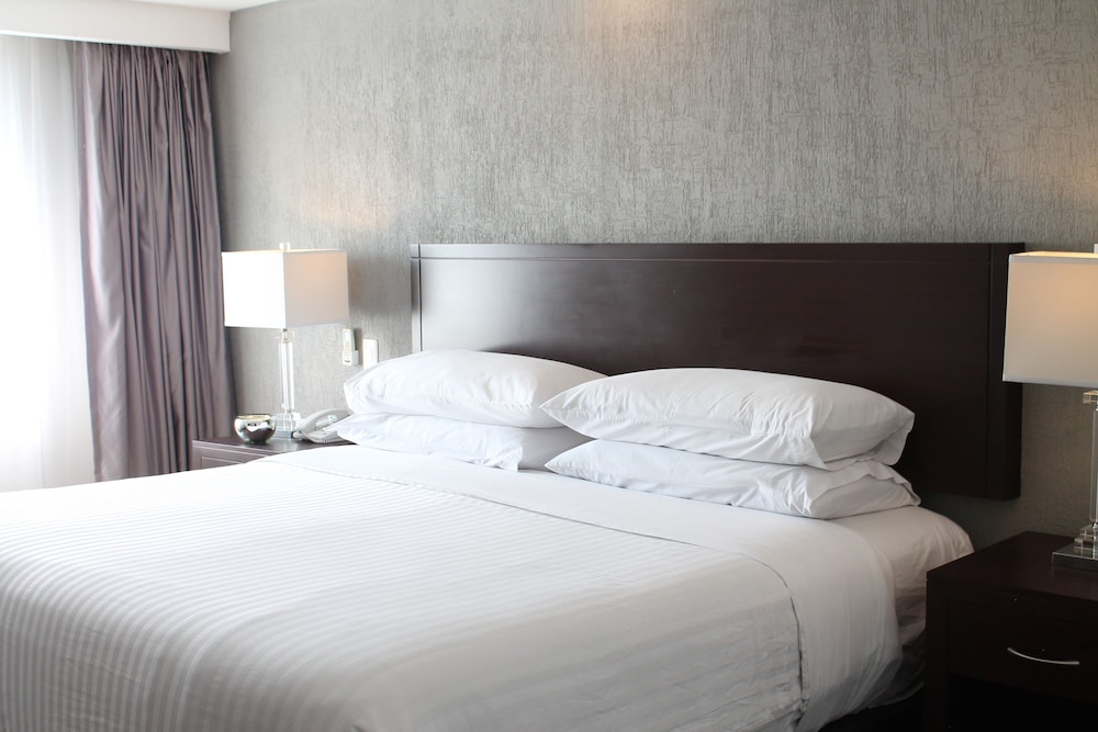 Hotel Ejecutivo Express 16/77