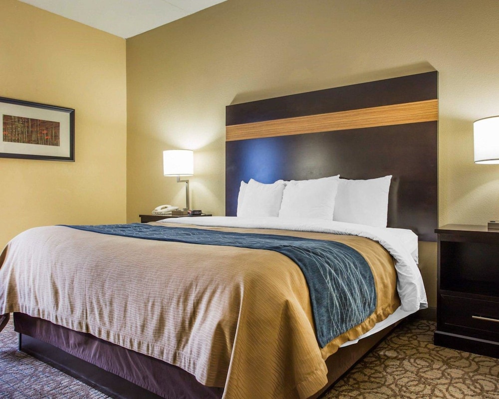 Comfort Inn Suites At Stone Mountain 17/39