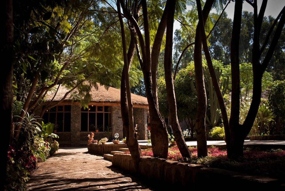 Abay Minch Lodge 31/50