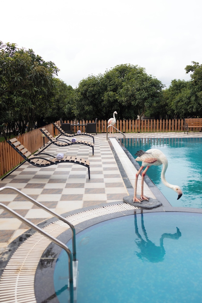 Freesia Resort by Express Inn 27/45