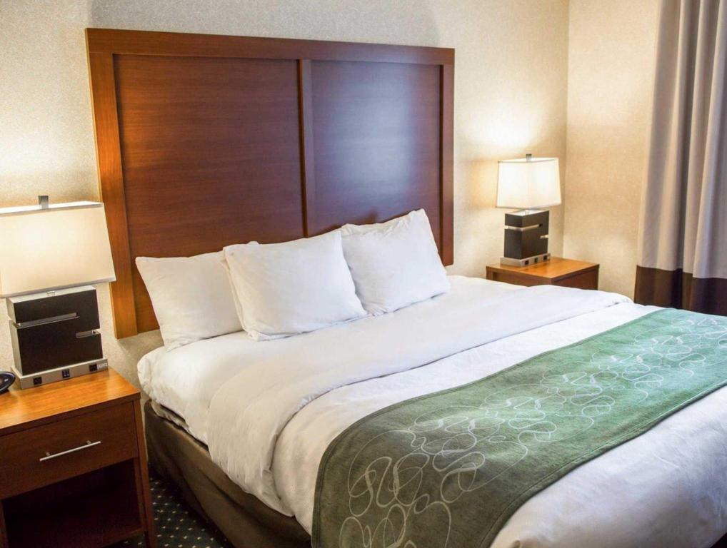 1 Bedroom, Suite