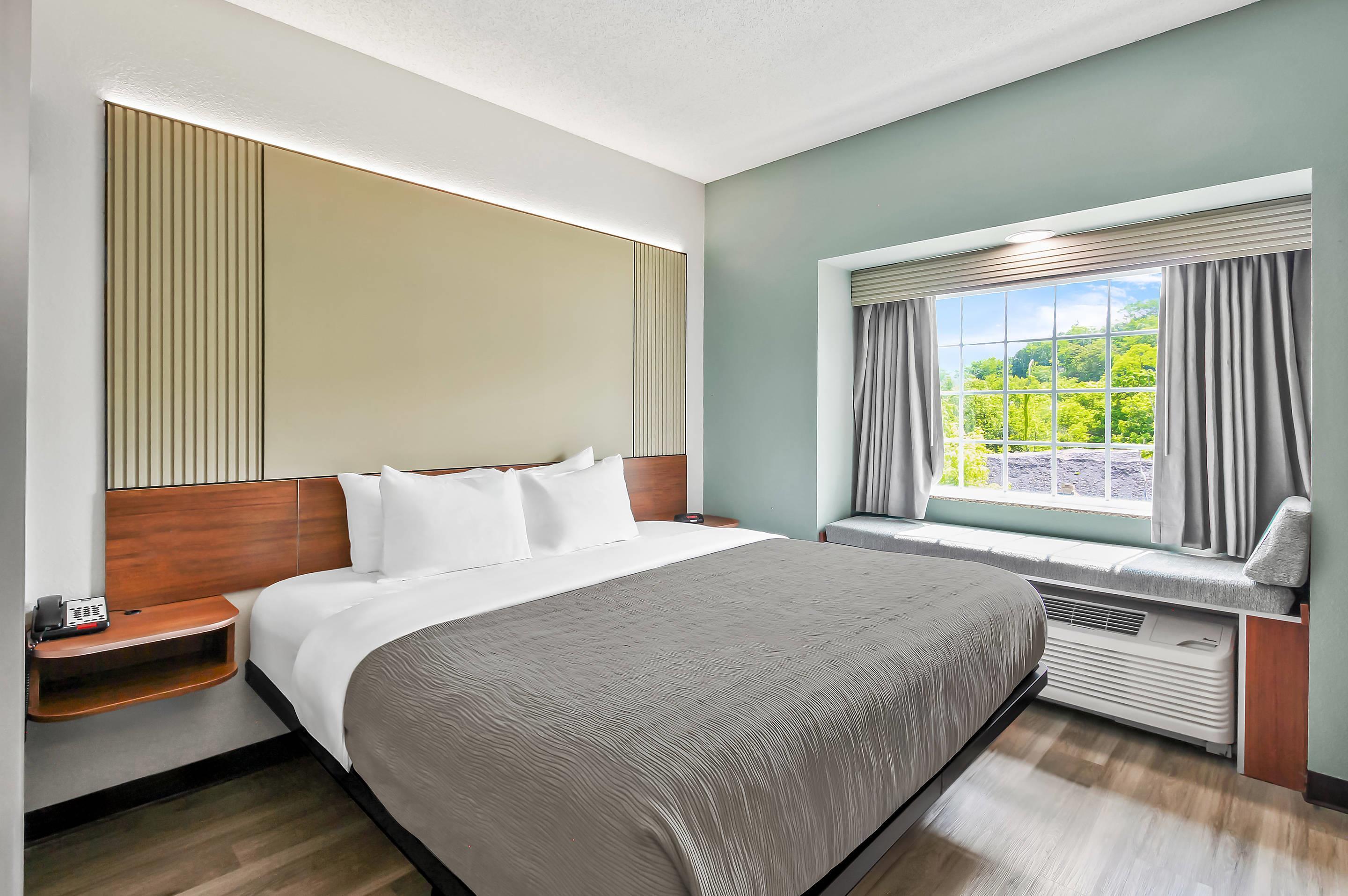 Suite, King Bed