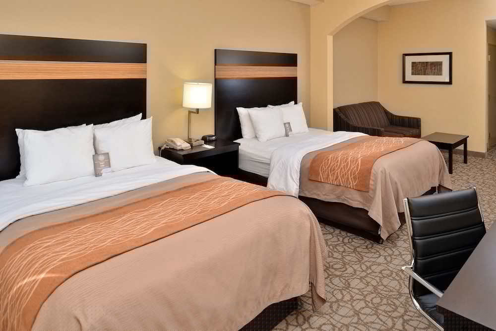 Comfort Inn Suites At Stone Mountain 18/39