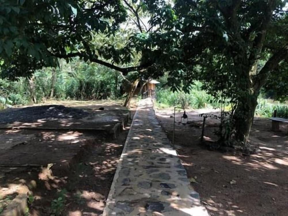 Sinharaja Rainforest View Villas 43/50