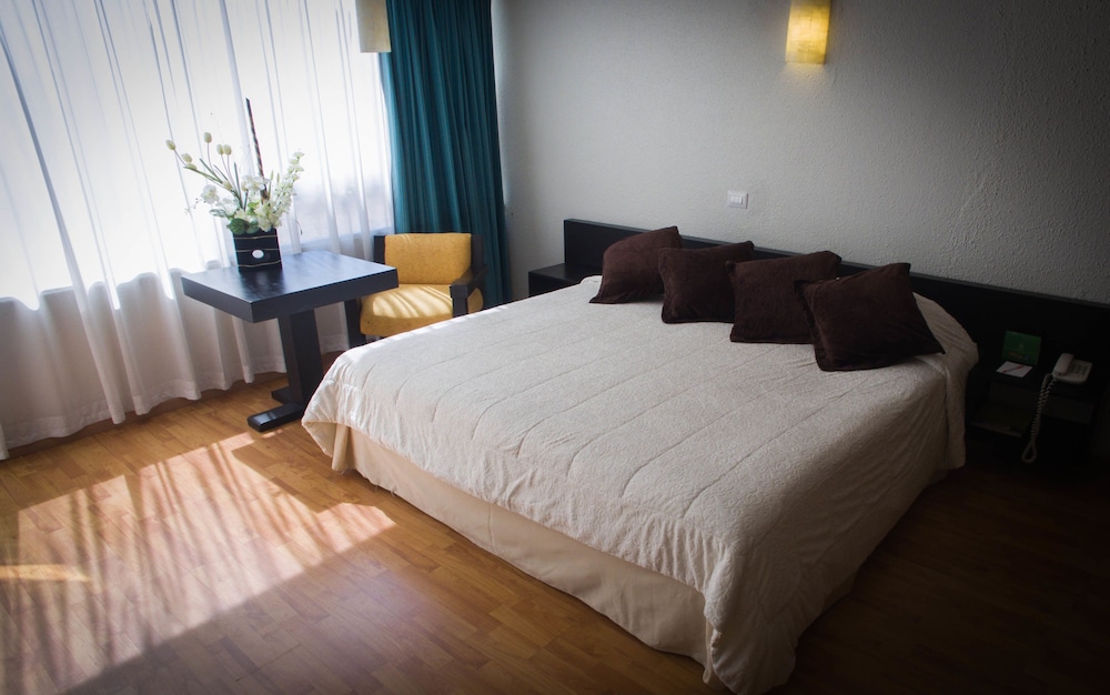 Gran Xalapa Hotel 16/41