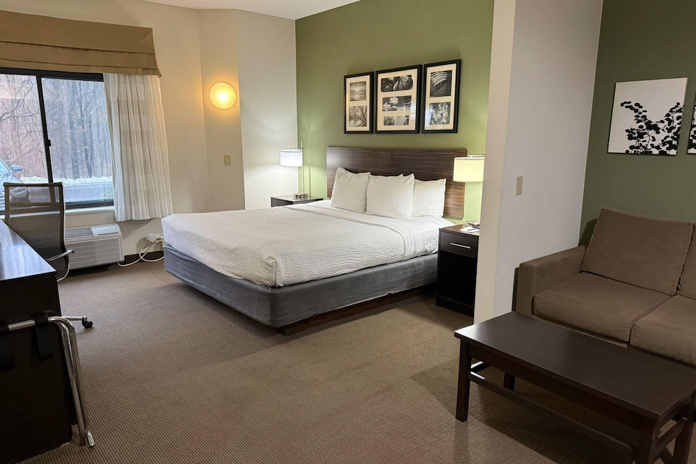 Studio, Suite, King Bed, Sofa