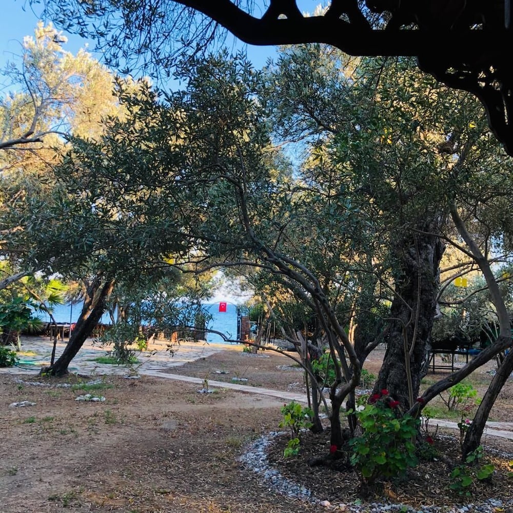 Datca Masal Gibi 23/26
