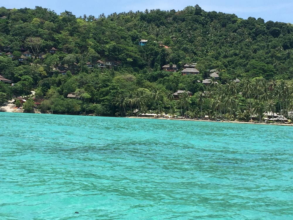 Phi Phi Little Star 53/66