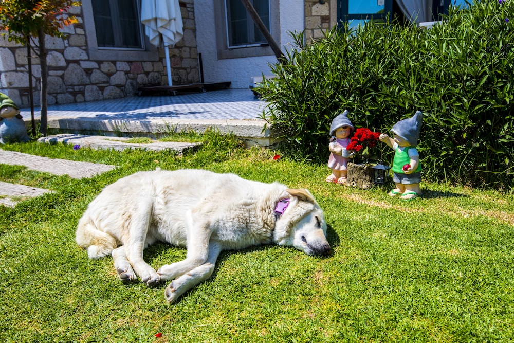 SULTAN KONAK HOTEL 45/52