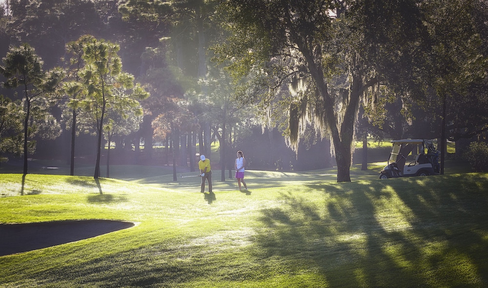 Innisbrook Resort 22/72