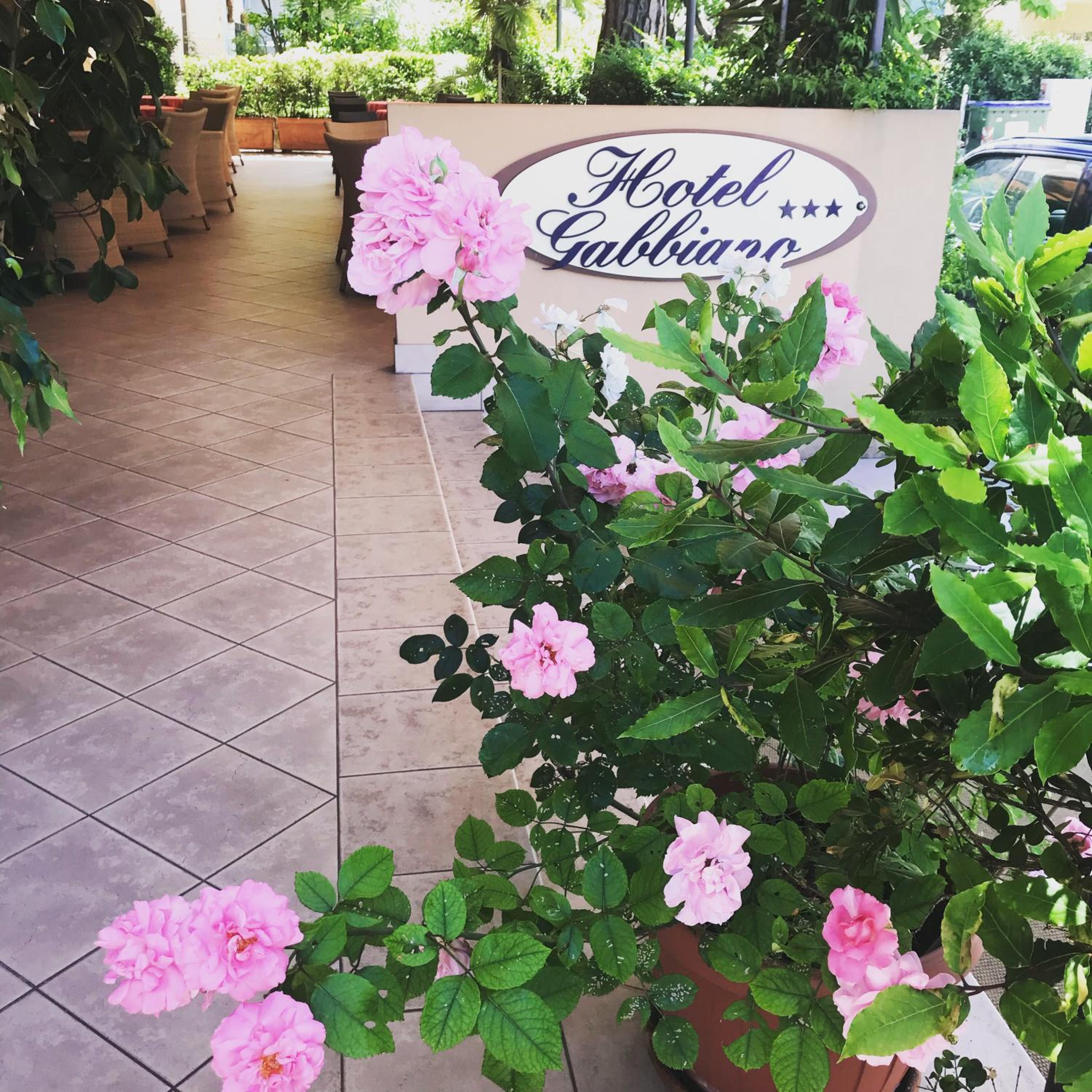 Hotel Gabbiano 8/50