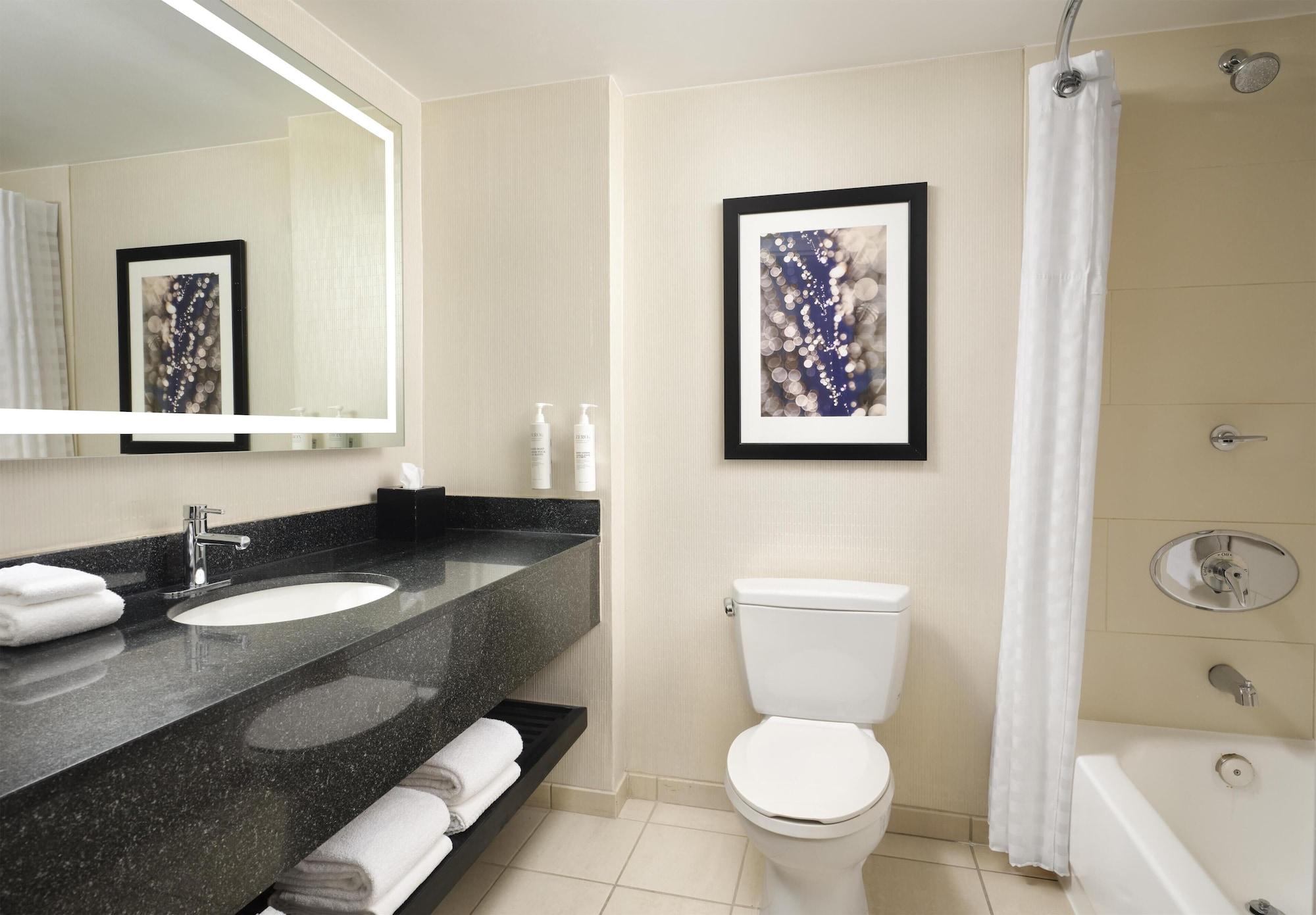 Premium, Suite, Multiple Beds, Lake View، Embassy Suites by Hilton Chicago Downtown Magnificent Mile 2/3